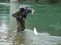 Pesca Alla Cheppia