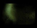 Cecilia S�rensen by Patricia M. F�lix \"Inside out\"