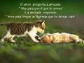 amizade, acho que algo em que todos ainda acreditamos
