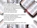 W.E. BIBLE GENESIS Part 2 (Chapter 3-4) Audio & Video