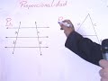 proporcionalidad teoria 1 2º secundaria