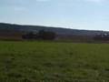 G&uuml;llevideo :-)