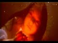 Future Sound of London - Amoeba
