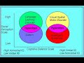 Hyperlexia