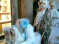 Carnaval de Venise 02