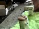 odcinek-2-andrzejowice-andrzej-terrorysta-.html