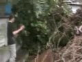 ICE December 22nd (part 2)