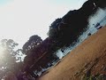ibira
