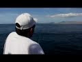 Fly Fishing - Marlin