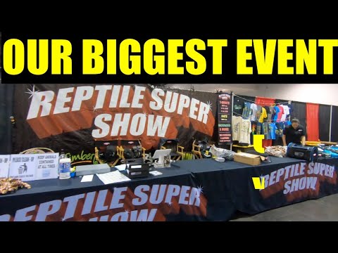 YouTube reptile video