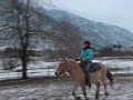 Snowy\ Snowy\