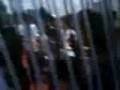 videos de uN diA en EL ccCm 5o