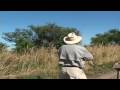 videos de DOVE Hunting show of doubles in argentina