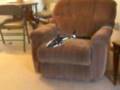Blade CX2 Aiwolf with Retracts