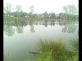 Are eddies set up at gausty hall lake in crewe