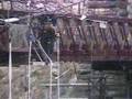 Beth's NZ Bungy