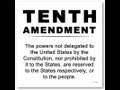 Idiot Right Wing On 10th Amendment