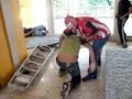 lucha campeche extrema