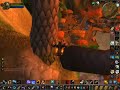 kaktus exploration: Booty bay alarmbell kaktus exploration: Booty bay alarmbell