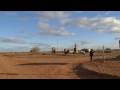 videos de Simpson Desert Tour 2008 PART 1