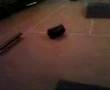 1234 b. strecker