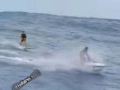 surf
