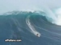 surf