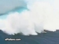 surf