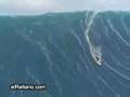 surf