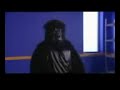Gorilla on drums - rangers Gorilla on drums - rangers