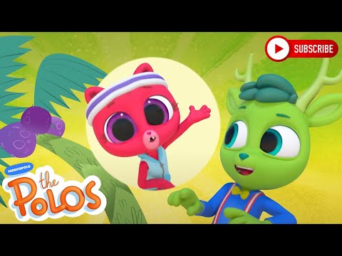 Rainforest Dance Song | Adventure Songs | MarcoPolo World School | Learn At Home
