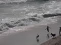 In-A-Gadda-Da-Vida