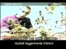 Green House Arjan\