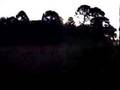 Trem da Serra do Mar - Charlotte Gainsbourg - 5.55