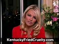 pamela anderson takes on kfc for cruelty to animals. you'll never eat kfc again.