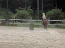 lauren running barrels