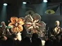 The  Voluptuous Horror Of Karen Black Live