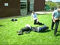 Voltage Funnehs:Fat Ass Piggybacks