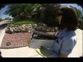 videos de This route is Known for the Dogs
