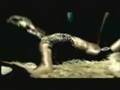 Beyonce - Baby Boy (dj ill nino video mashup)