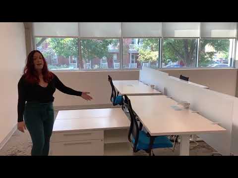 Single Dedicated Desk