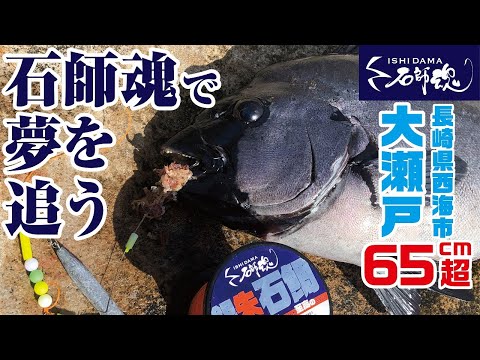 石師魂で石鯛の夢を追う　長崎県西海市大瀬戸　65㎝超　/武富　淳