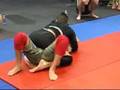 absolu bjj