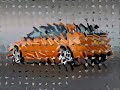 Cars and House music Cars and House music