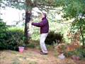EXERCISES FOR ALL SEASONS: Embrace Tree