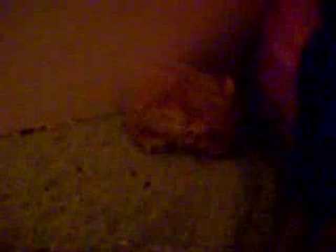 how to unclog ear with q tip