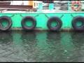 videos de 60fps実験