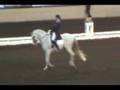 QUARTETO DE TOP & JENNIFER SCHRADER-WILLIAMS, FEI Freestyle
