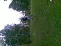 Dekens con un palo Dekens con un palo