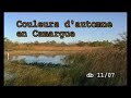 Couleurs d'automne en Camargue